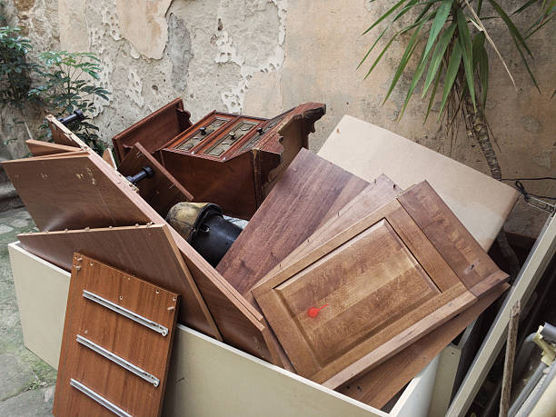 Best Professional Junk Removal  in Mosheim, TN